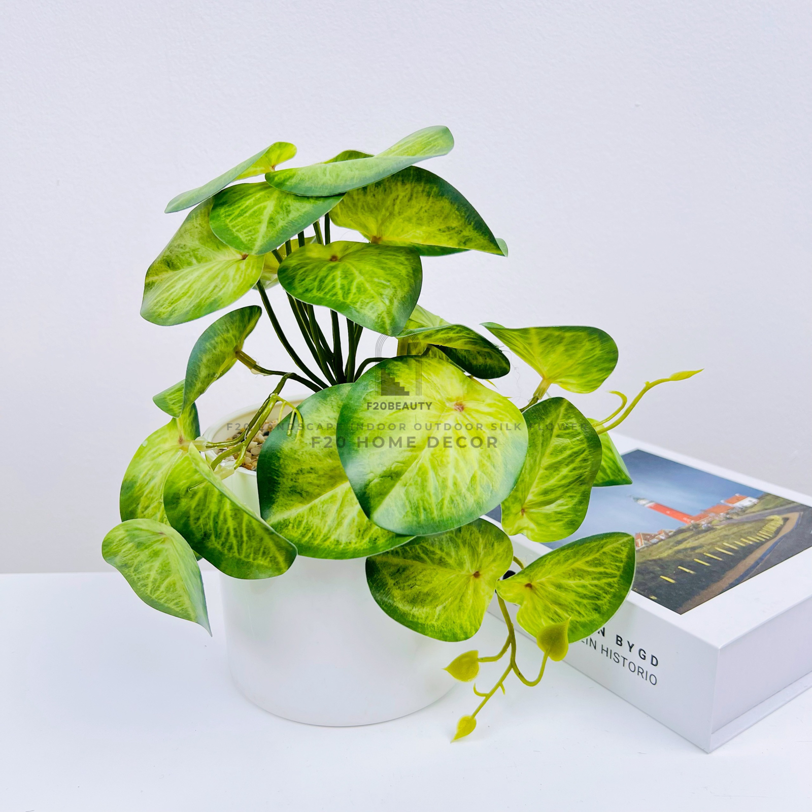 Chậu cây trầu bà Aureum giả để bàn trang trí phòng ngủ