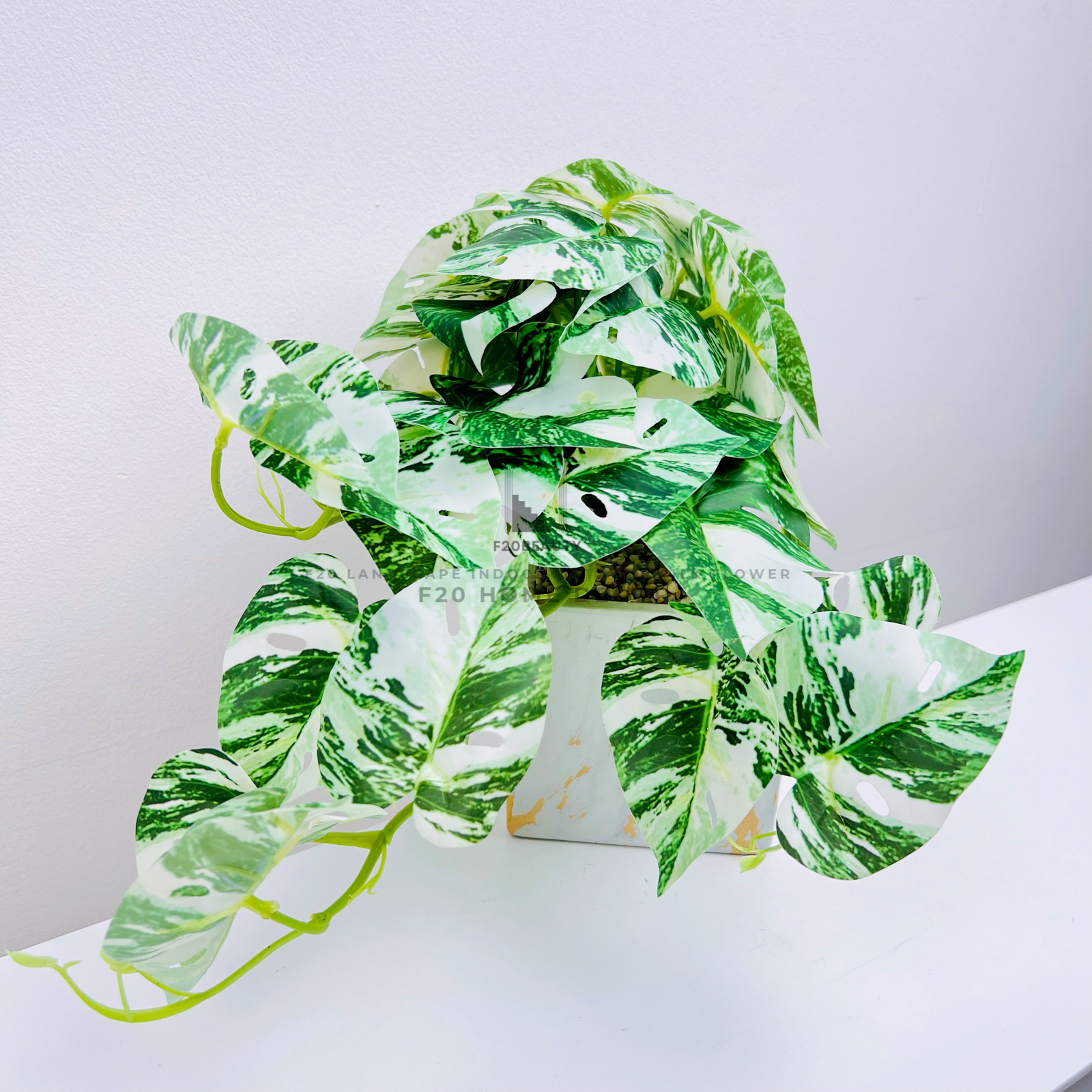 Chậu cây Monstera Albo mini giả để bàn trang trí phòng khách