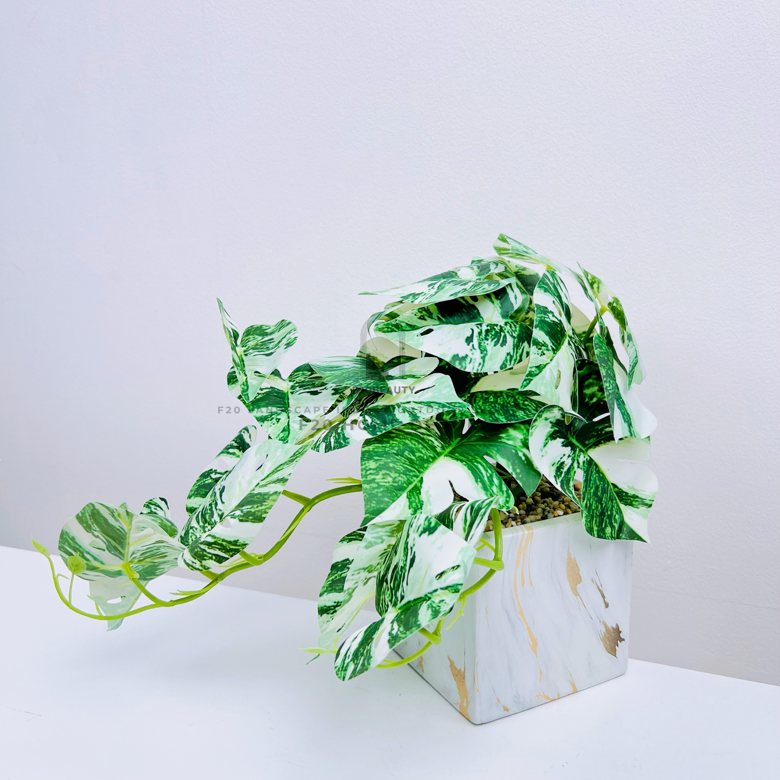 Chậu cây Monstera Albo mini giả để bàn trang trí phòng ngủ