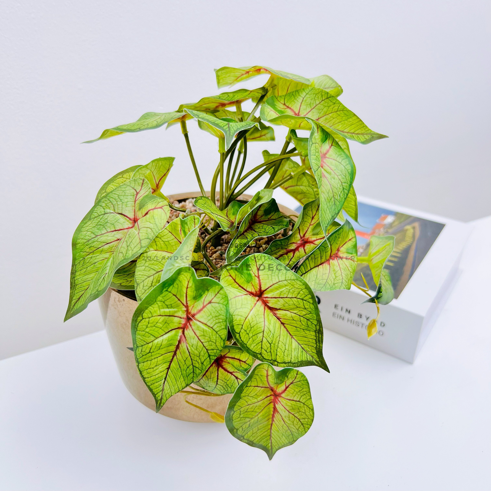 Chậu cây môn hồng giả để bàn trang trí phòng bếp