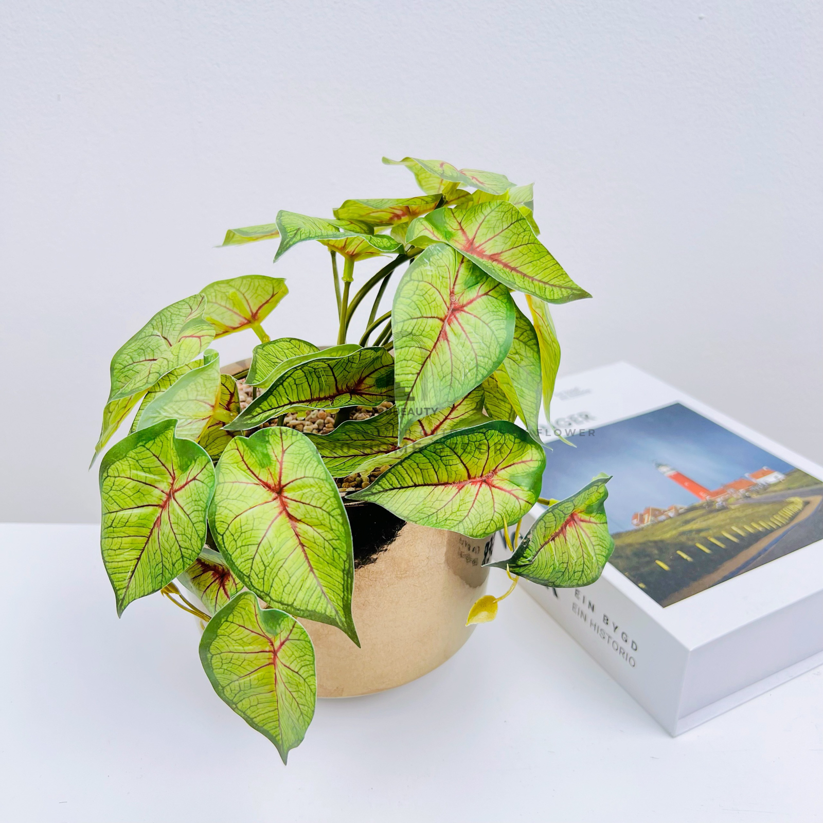 Chậu cây môn hồng giả để bàn trang trí bàn làm việc