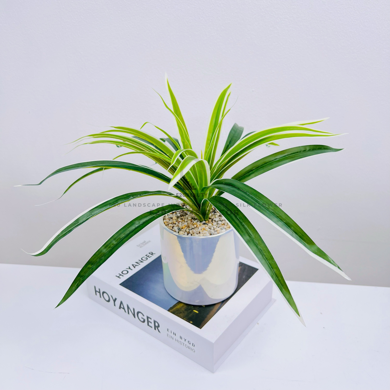 Chậu cỏ lan chi giả để bàn với chậu xà cừ trang trí phòng khách