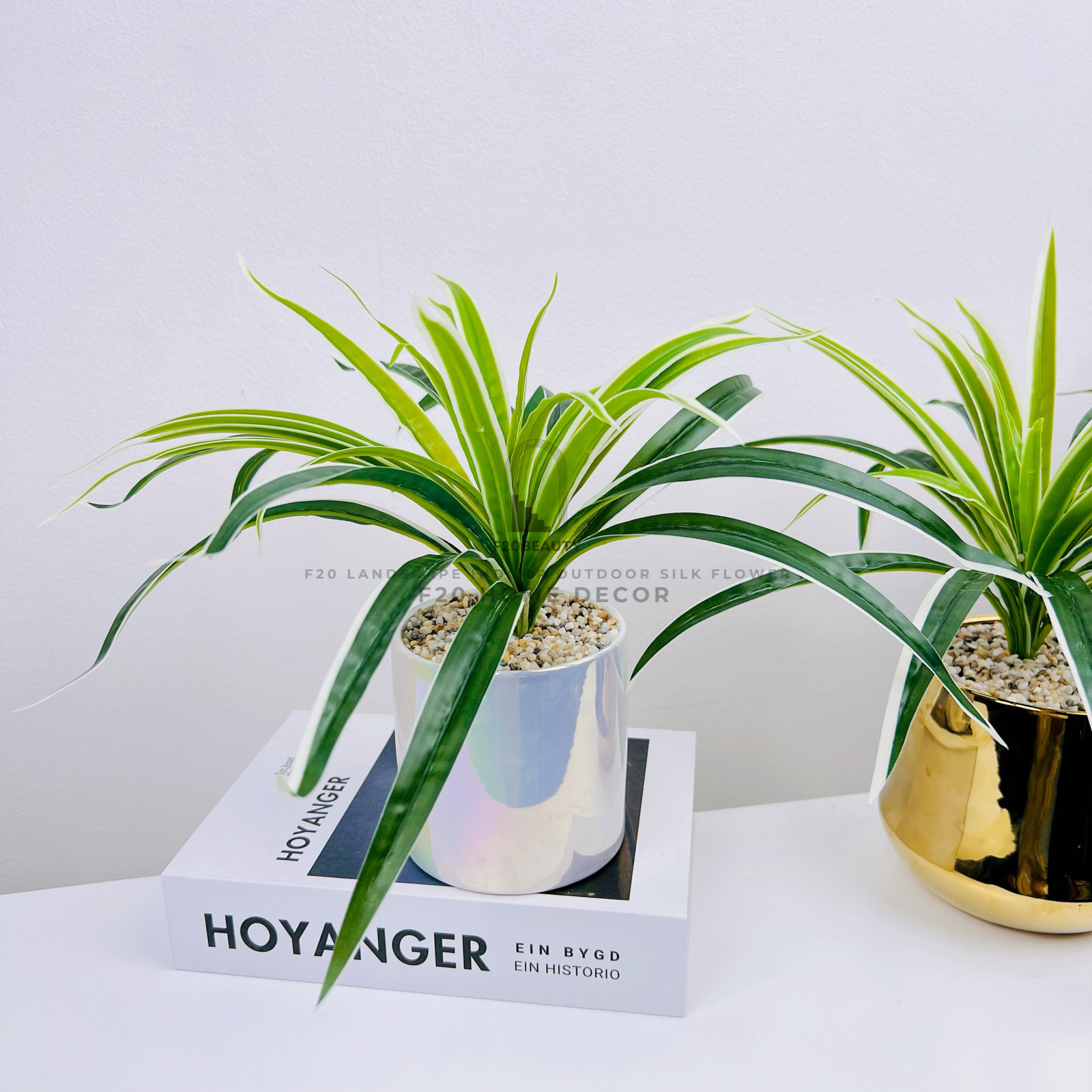 Chậu cỏ lan chi giả để bàn với chậu xà cừ trang trí bàn làm việc