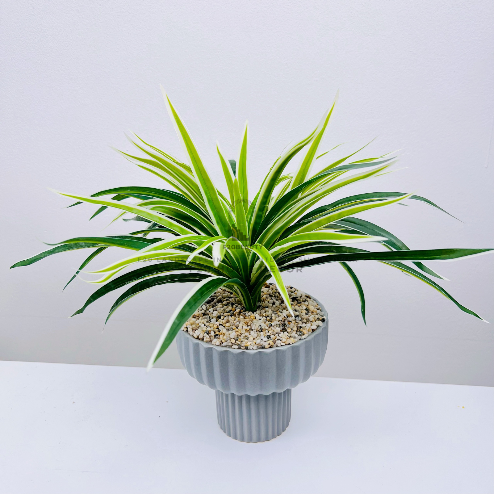 Chậu cỏ lan chi giả để bàn với chậu xám trang trí phòng ngủ