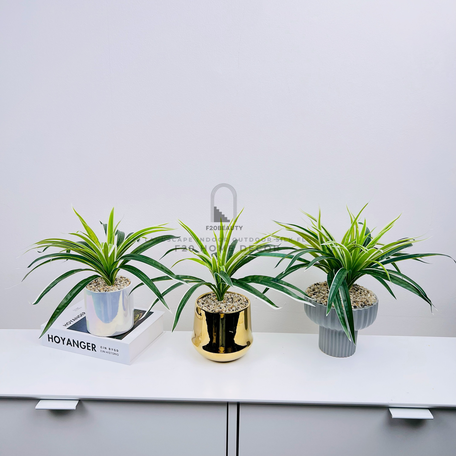 Chậu cỏ lan chi giả để bàn