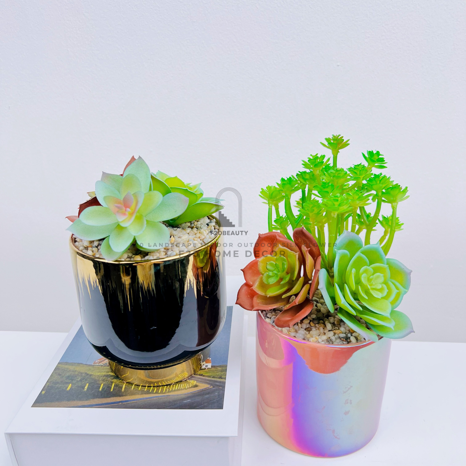 Chậu sen đá giả mix cây điểm là điểm nhấn tuyệt vời cho bàn làm việc