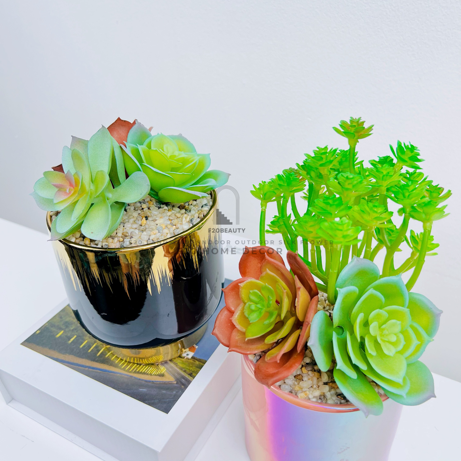 Chậu sen đá giả mix cây điểm tạo nét đẹp thân thiện cho ngôi nhà