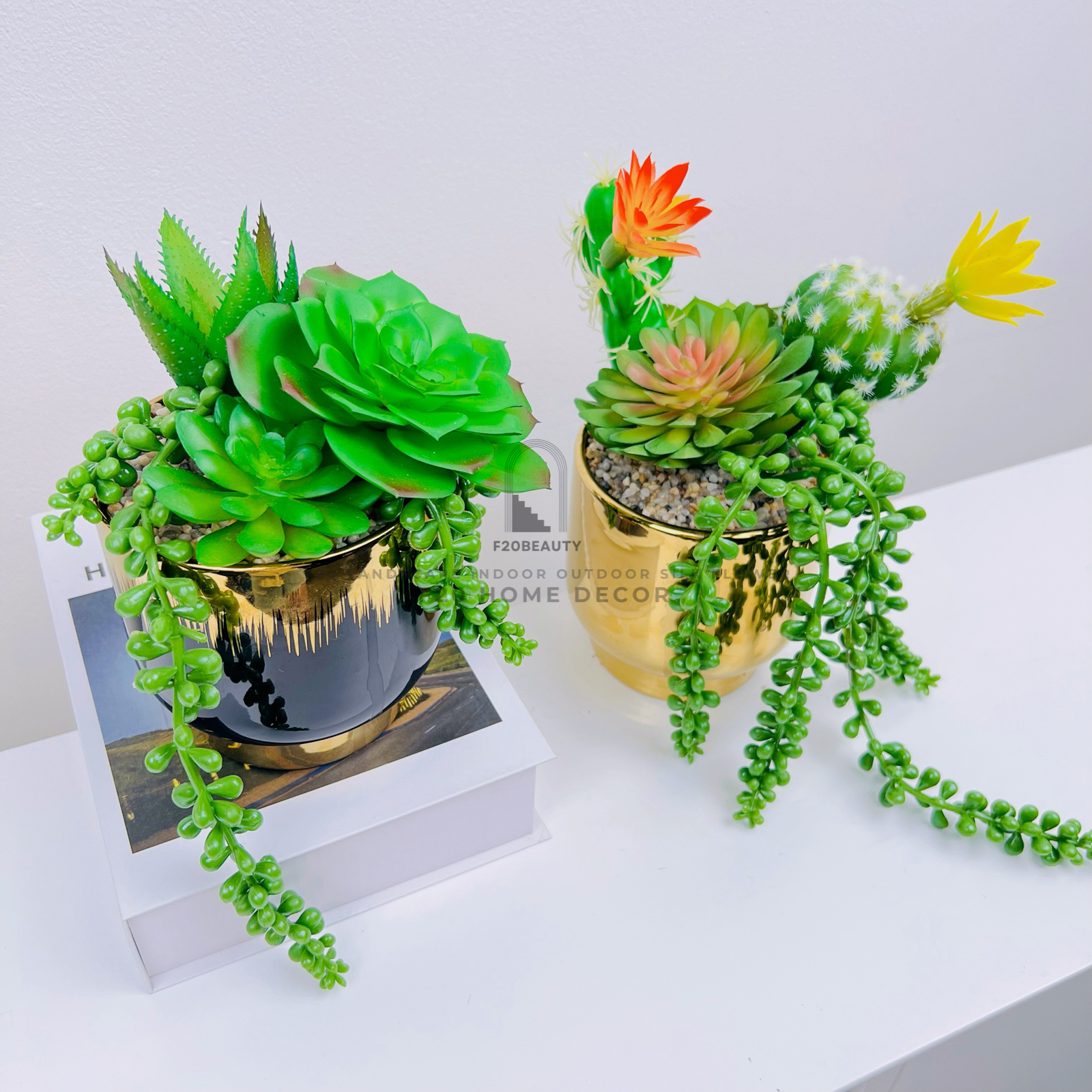 Chậu sen đá giả mix xương rồng dây rủ – Nét đẹp thân thiện cho ngôi nhà