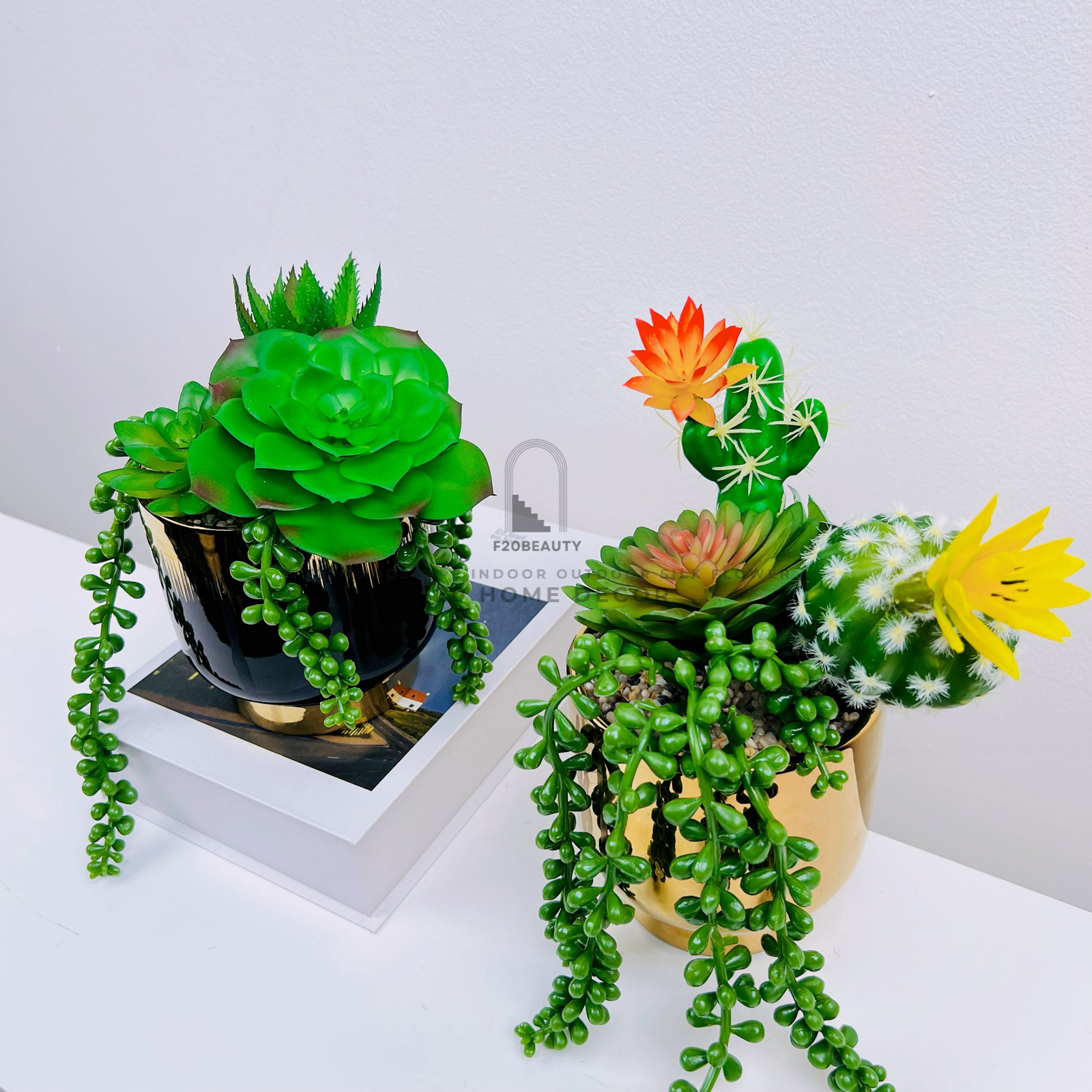 Chậu sen đá giả mix xương rồng dây rủ – Lựa chọn thông minh cho trang trí nội thất