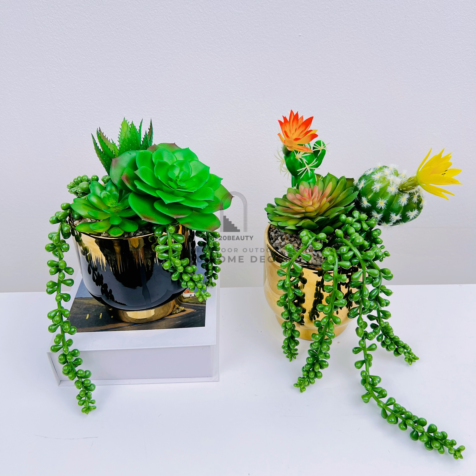 Chậu sen đá giả mix xương rồng dây rủ để bàn – Sắc màu tươi mới