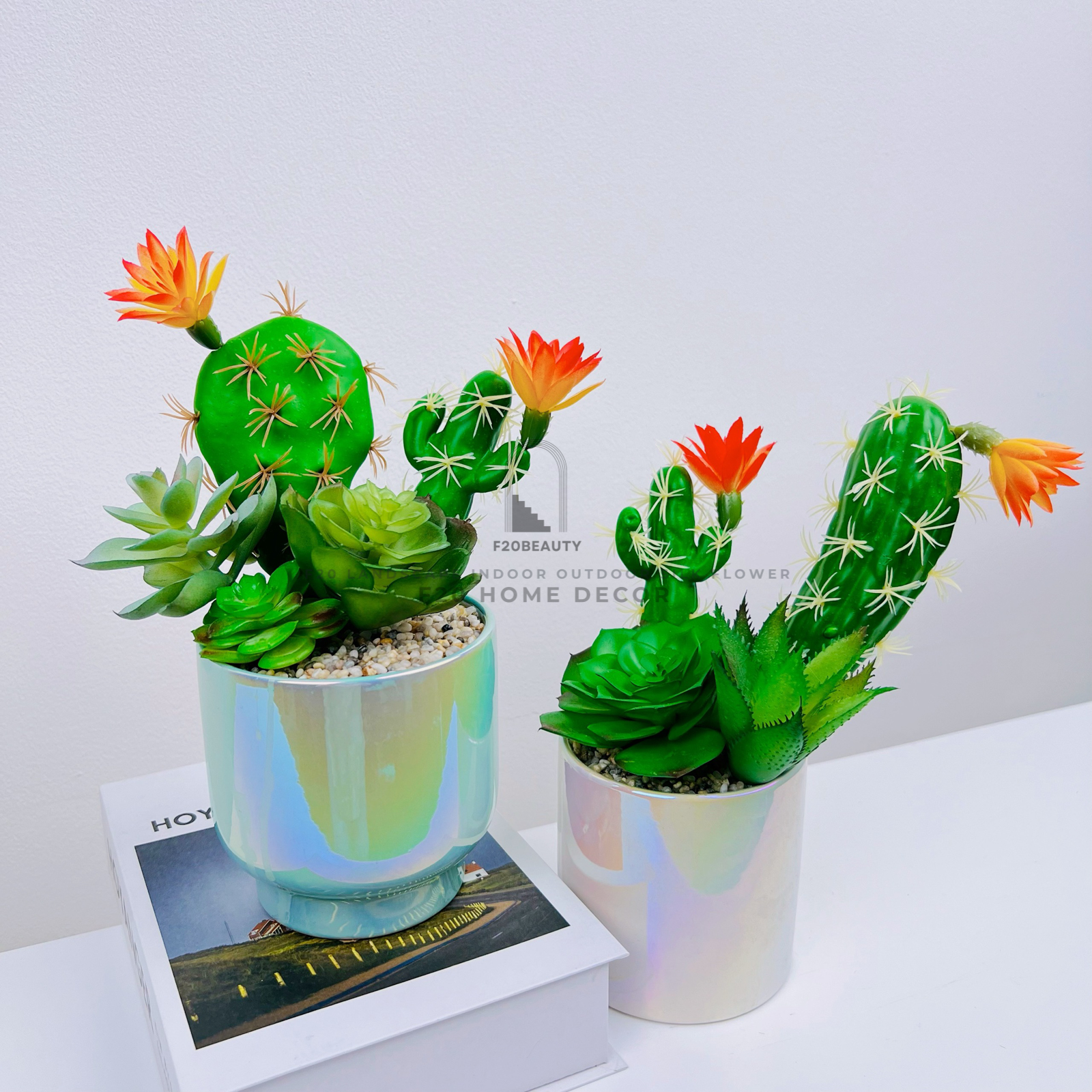 Chậu sen đá giả mix xương rồng – Sự kết hợp hoàn hảo