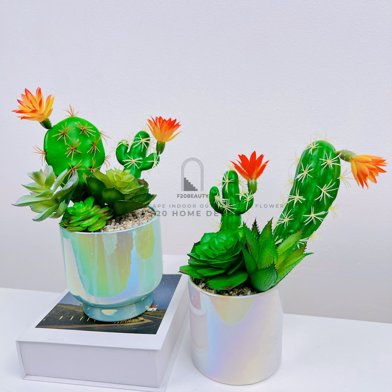 Chậu sen đá giả mix xương rồng – Nét đẹp thân thiện cho ngôi nhà