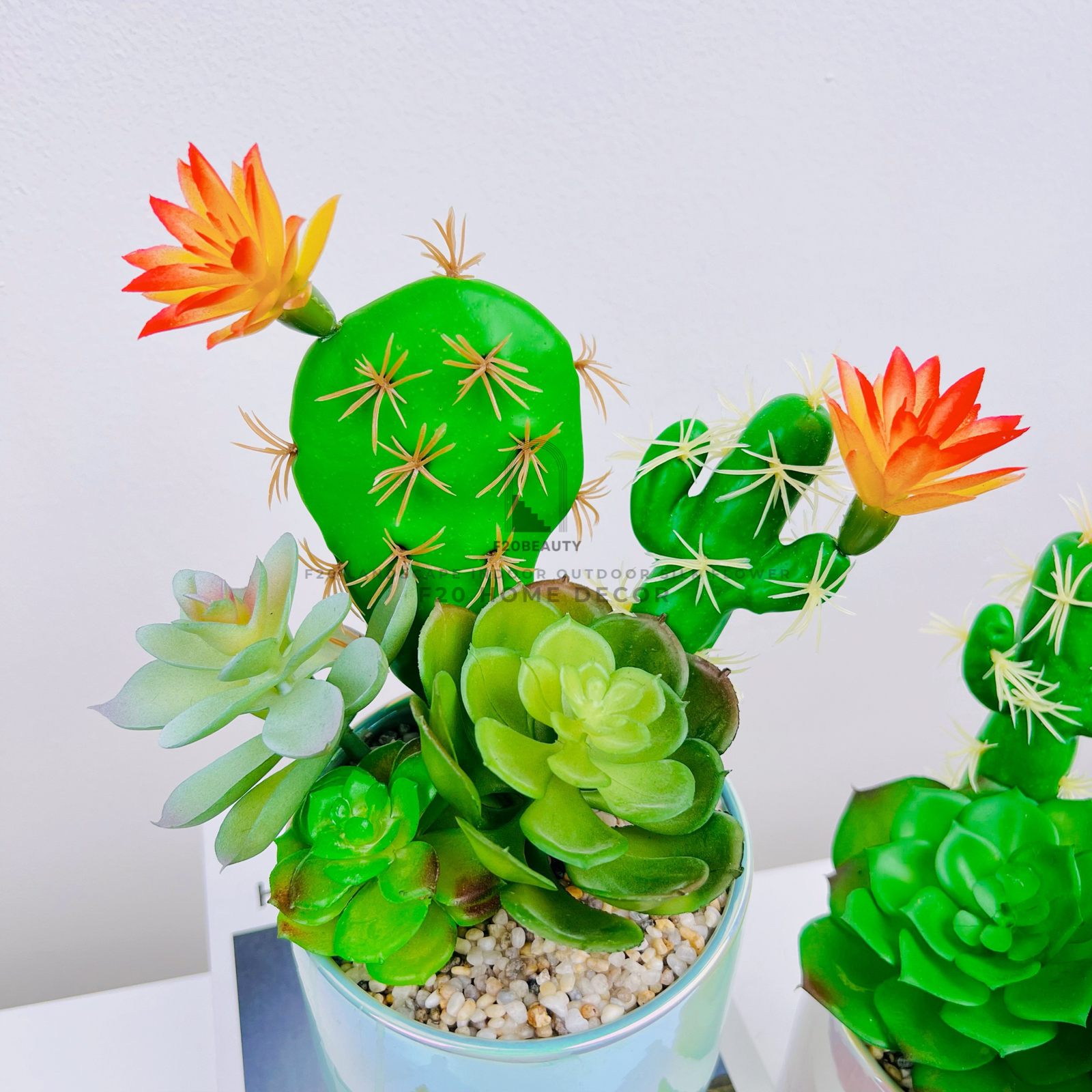 Chậu sen đá giả mix xương rồng – Sự lựa chọn hoàn hảo cho mọi không gian