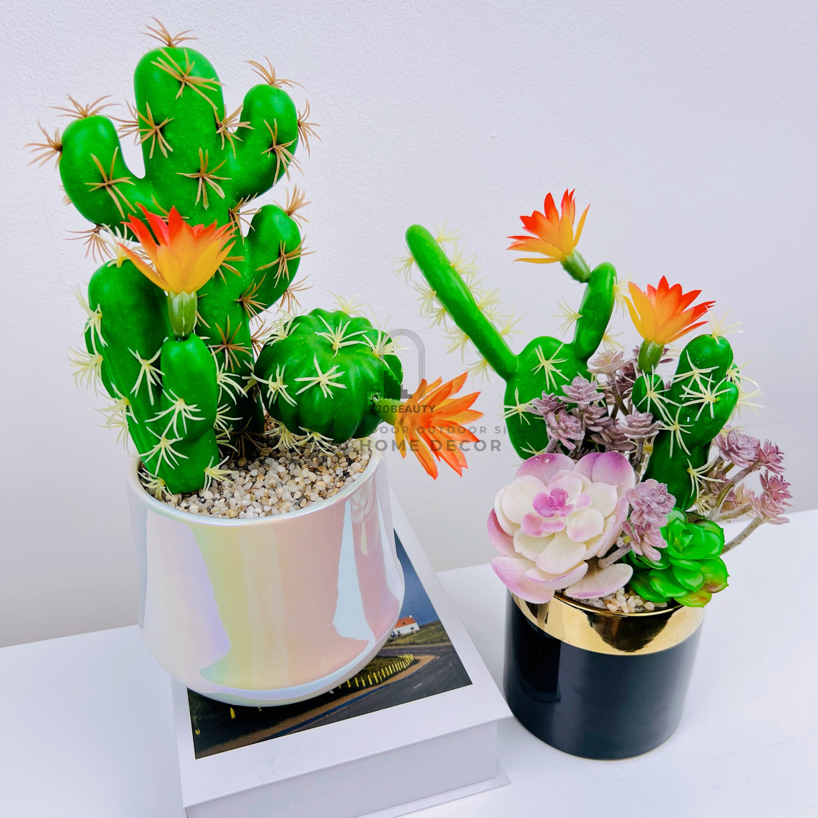 Chậu sen đá giả mix xương rồng – Điểm nhấn cho bàn làm việc