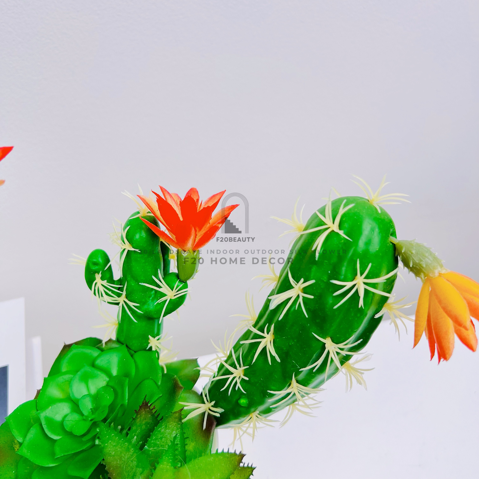 Chậu sen đá giả mix xương rồng – Vẻ đẹp tự nhiên