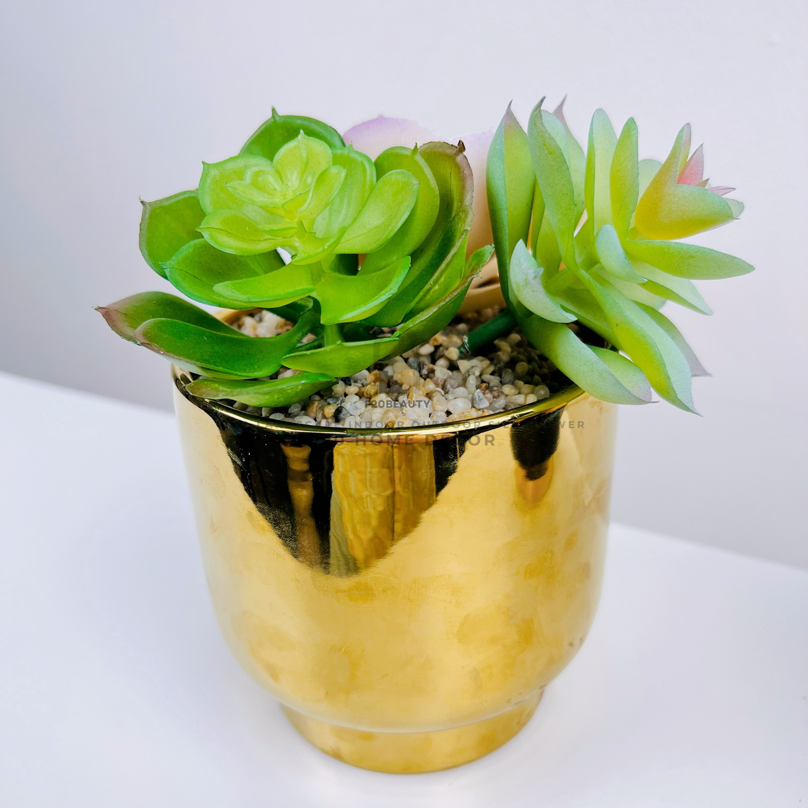 Chậu sen đá giả nhiều mẫu – Sự kết hợp hoàn hảo