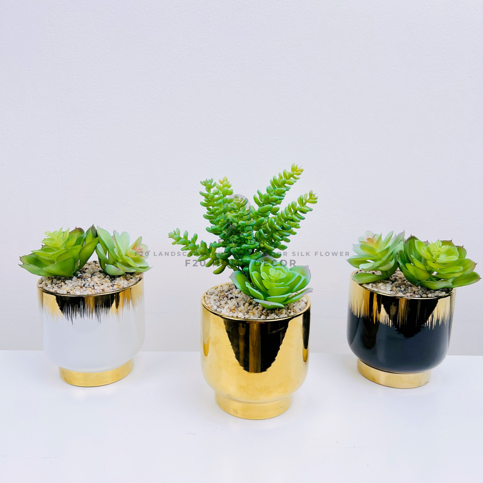 Chậu cây sen đá giả nhiều mẫu để bàn