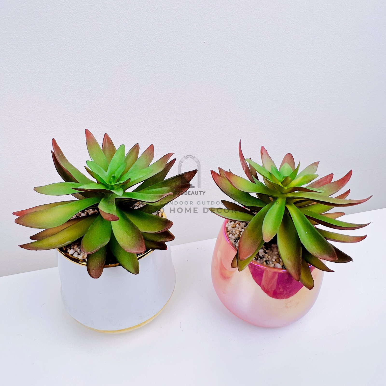 Chậu cây sen đá giả Sunny để bàn trang trí góc học tập