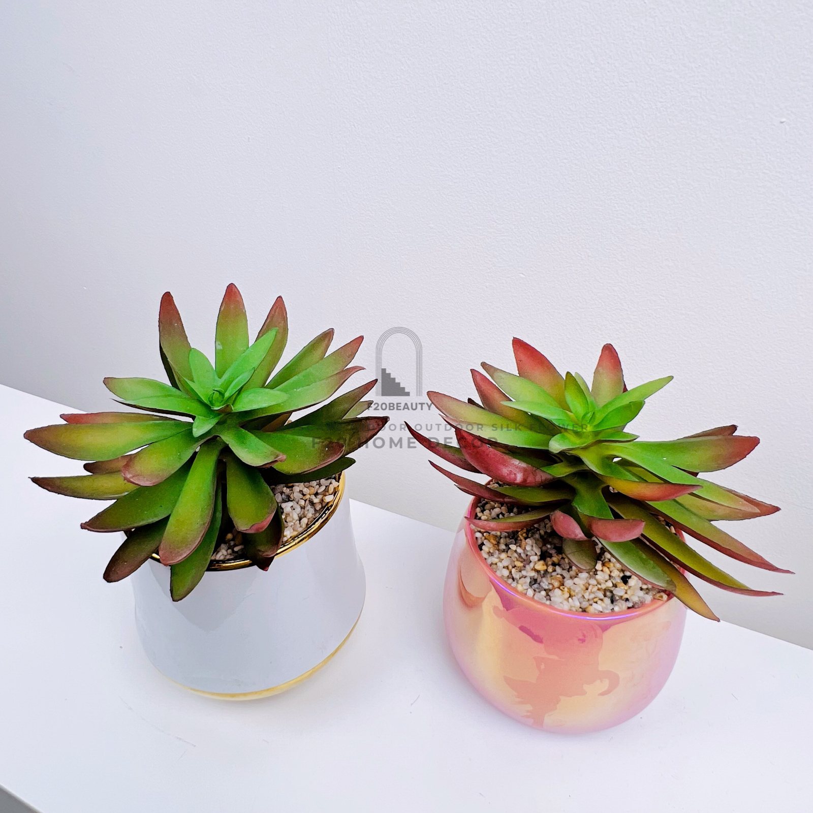 Chậu cây sen đá giả Sunny để bàn trang trí bàn làm việc