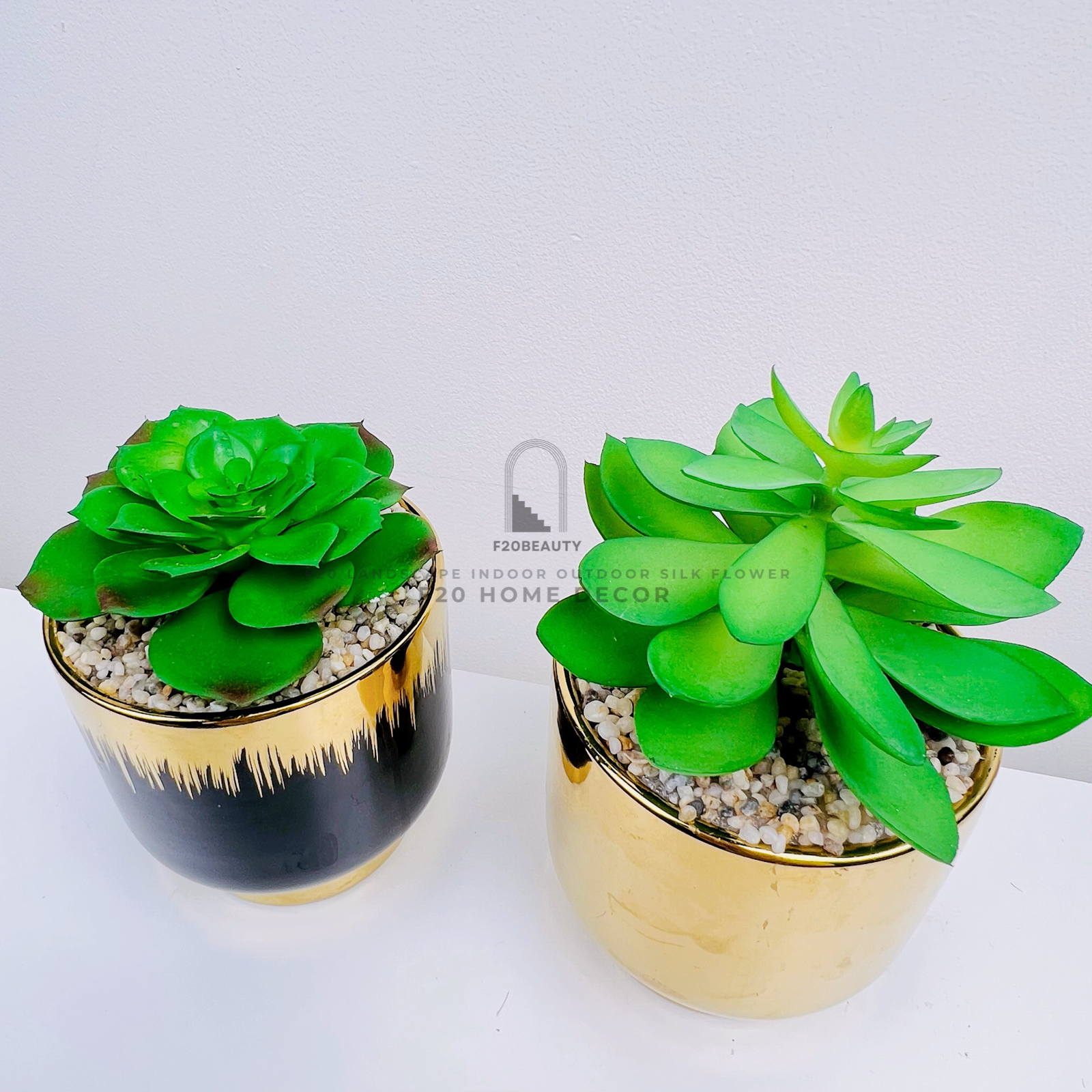 Chậu cây sen đá Haworthia giả để bàn