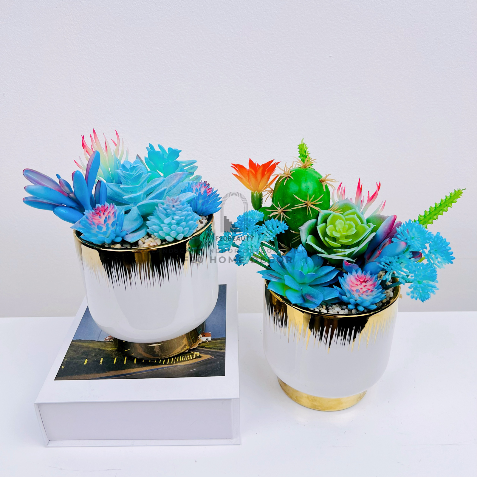 Chậu cây sen đá Lithops giả để bàn