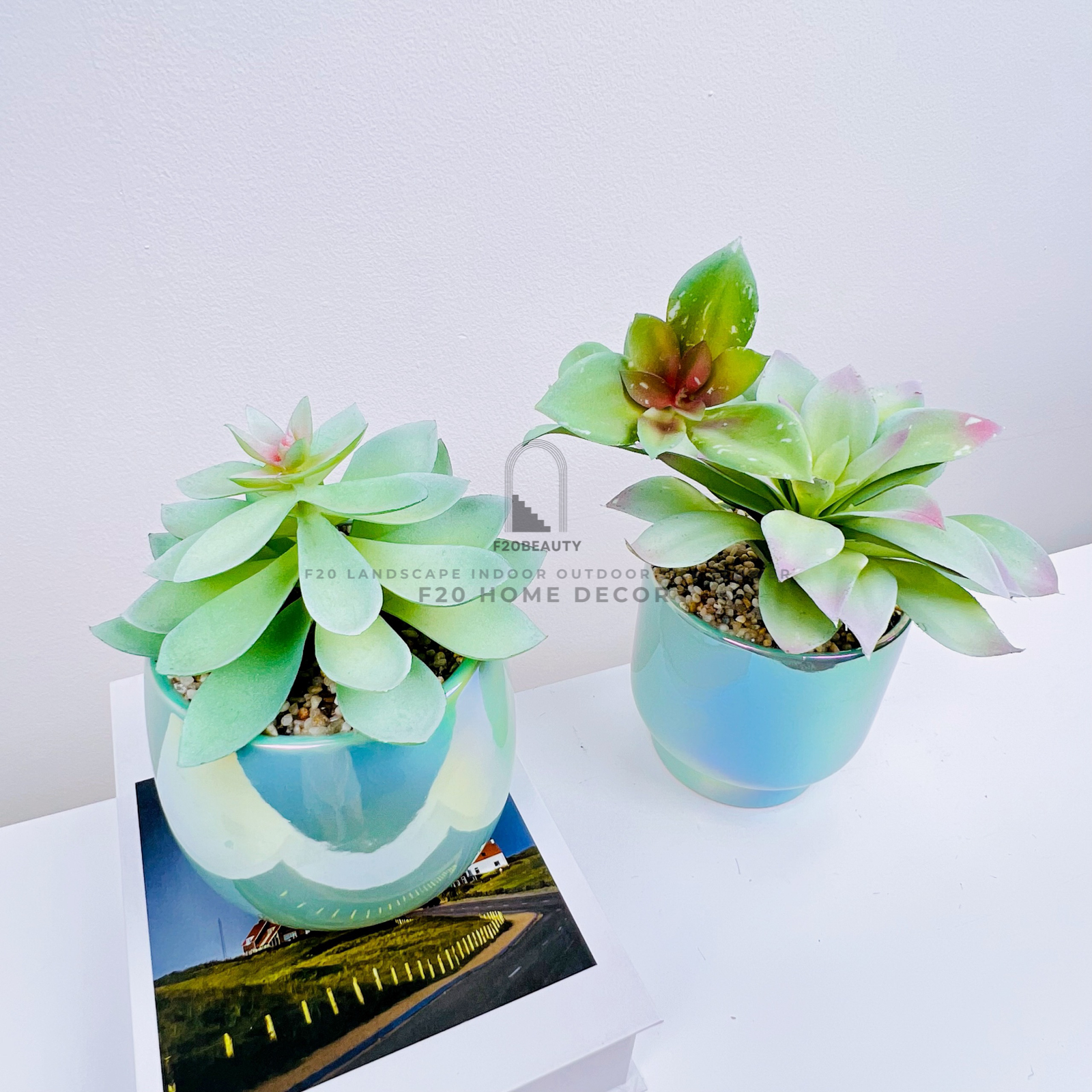 Chậu sen đá Roly giả để bàn trang trí phòng ngủ