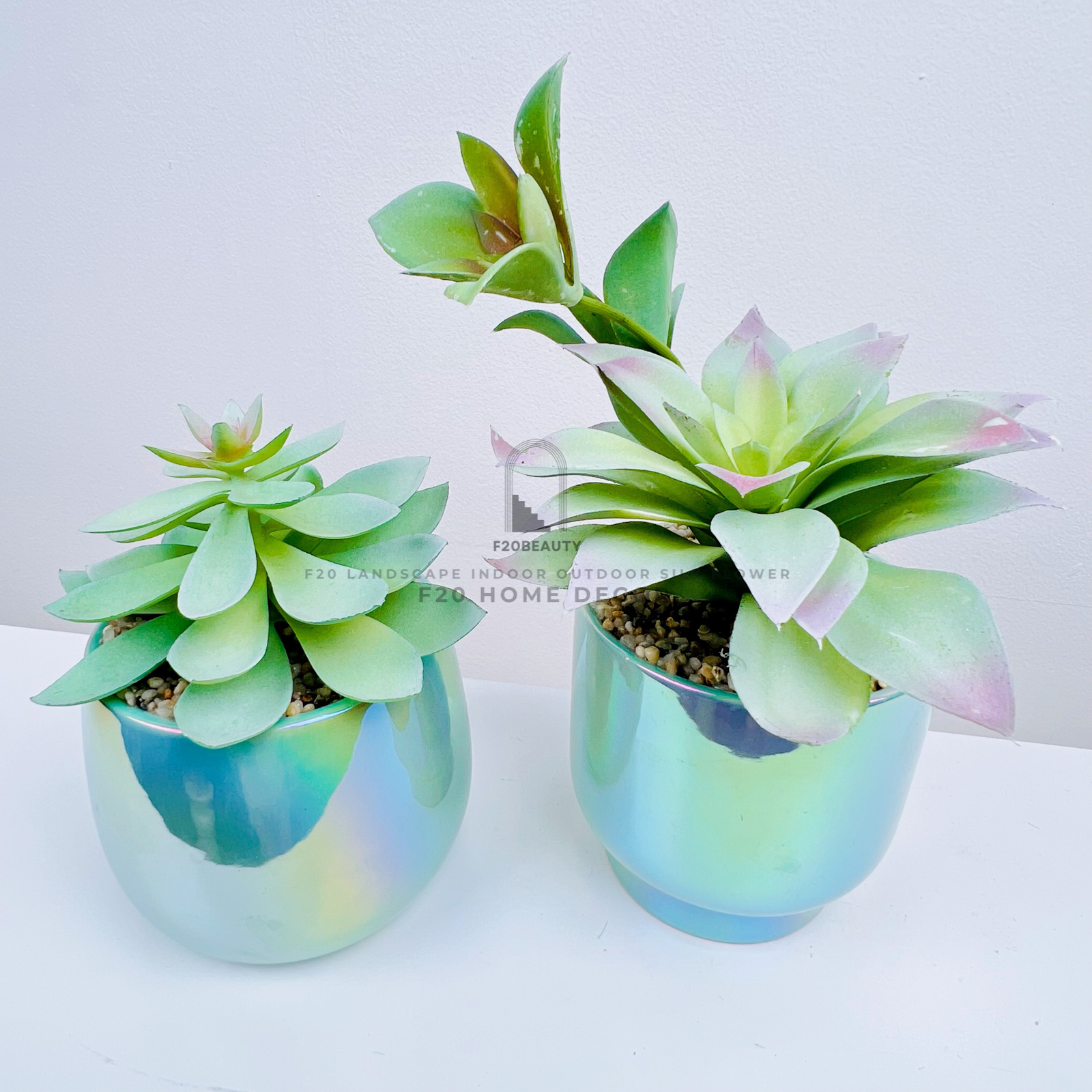 Chậu sen đá Roly giả để bàn trang trí góc học tập