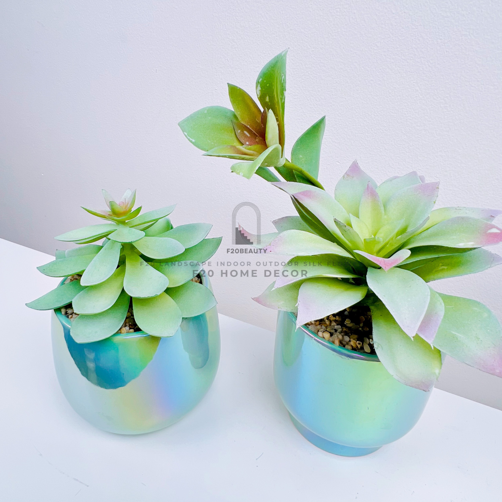 Chậu sen đá Roly giả để bàn trang trí phòng khách