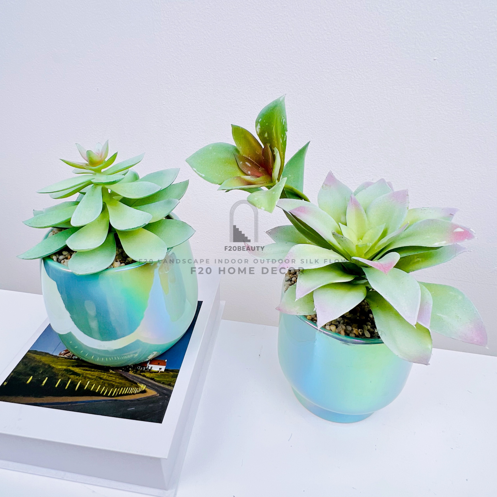 Chậu cây sen đá Roly giả để bàn