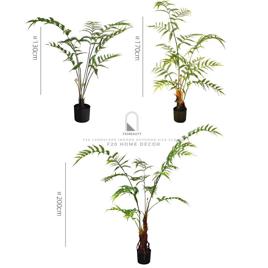 Hình ảnh chi tiết kích thước cây dương xỉ giả