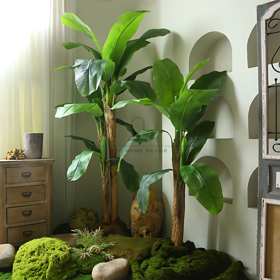 Tiểu cảnh cây chuối kiểng theo phong cách nhiệt đới
