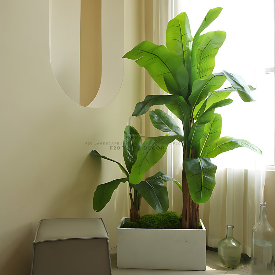 Bồn cây chuối kiểng thei phong cách hiện đại
