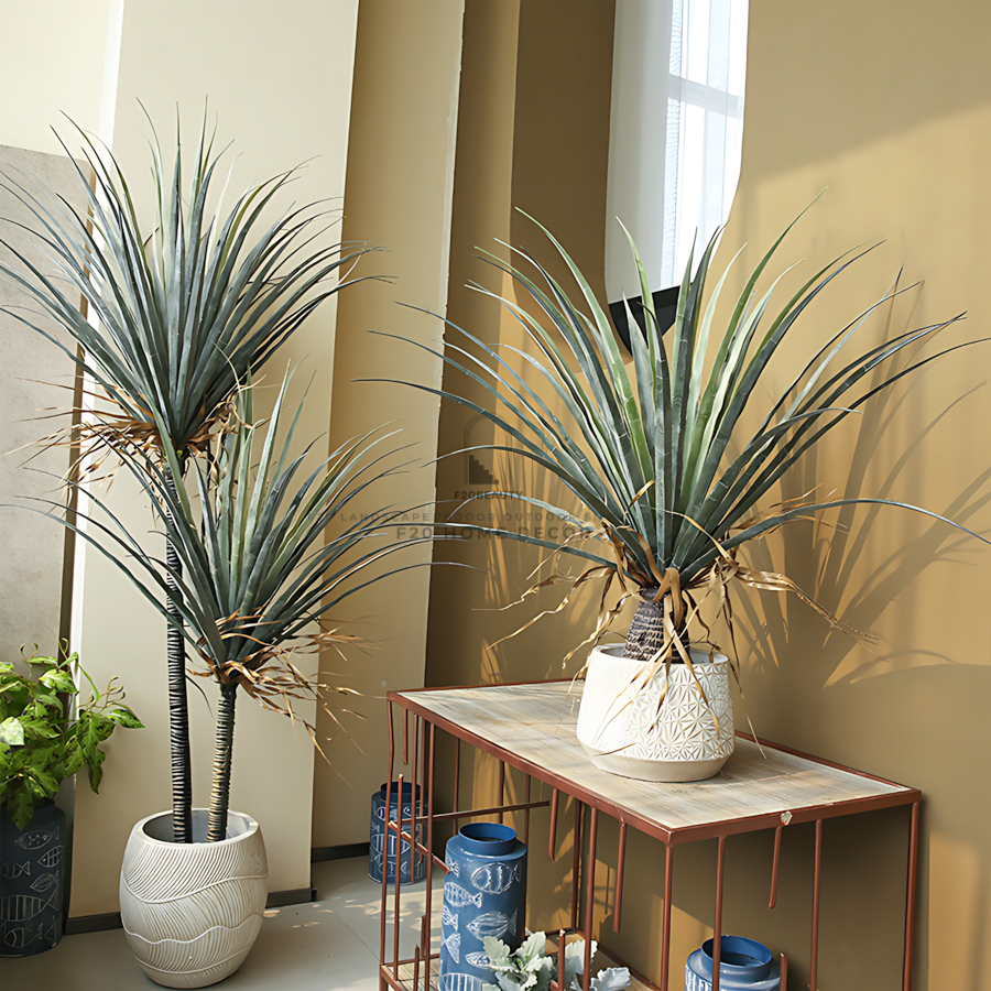 Cây Phất Dụ Rồng giả - Vẻ đẹp tinh tế và ý nghĩa may mắn