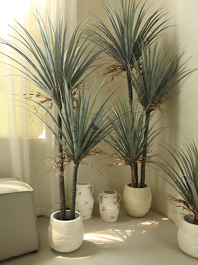 Cây phất dụ rồng giả