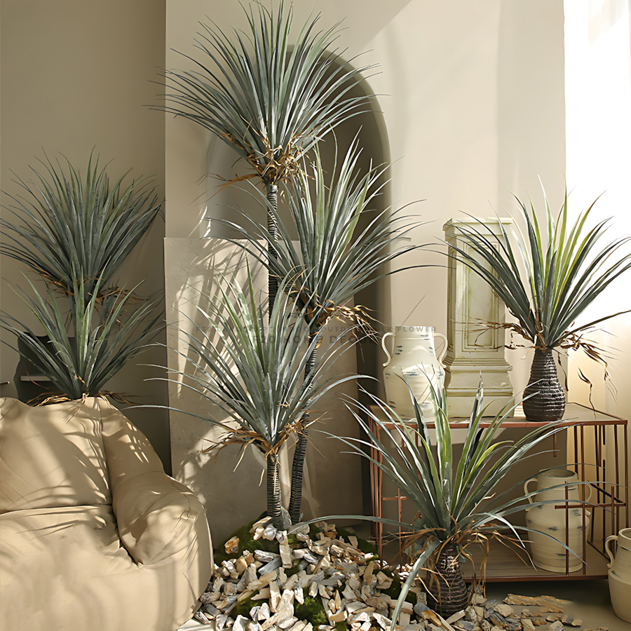 Tiểu cảnh cây phất dụ rồng trang trí không gian nội thất