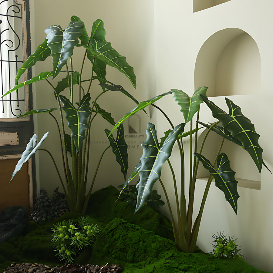 Cây trầu bà quan âm giả thu hút tài lộc vượng khí cho gia chủ