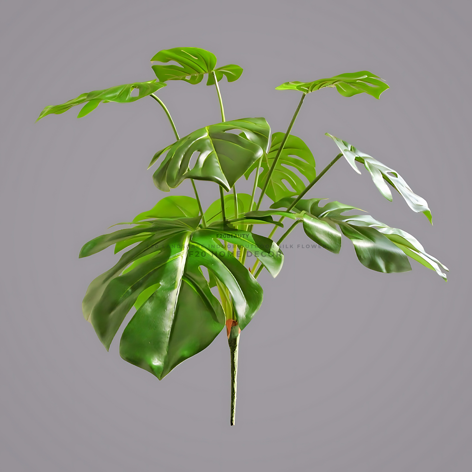 Hình ảnh thực tế cành cây Monstera giả loại 9 lá xịn đẹp