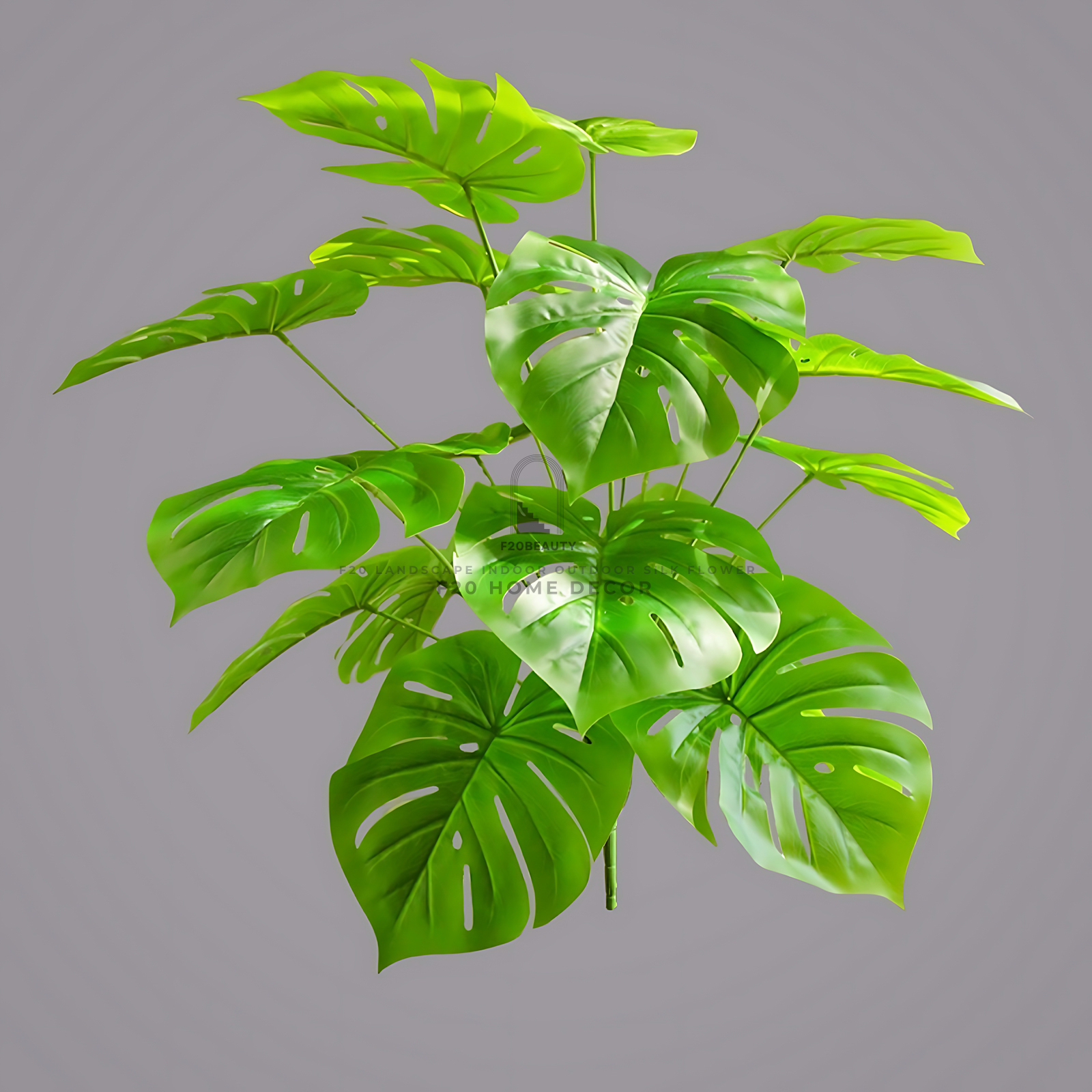 Chi tiết  cây Monstera 18 lá giả dùng để trang trí  với màu xang tươi mát