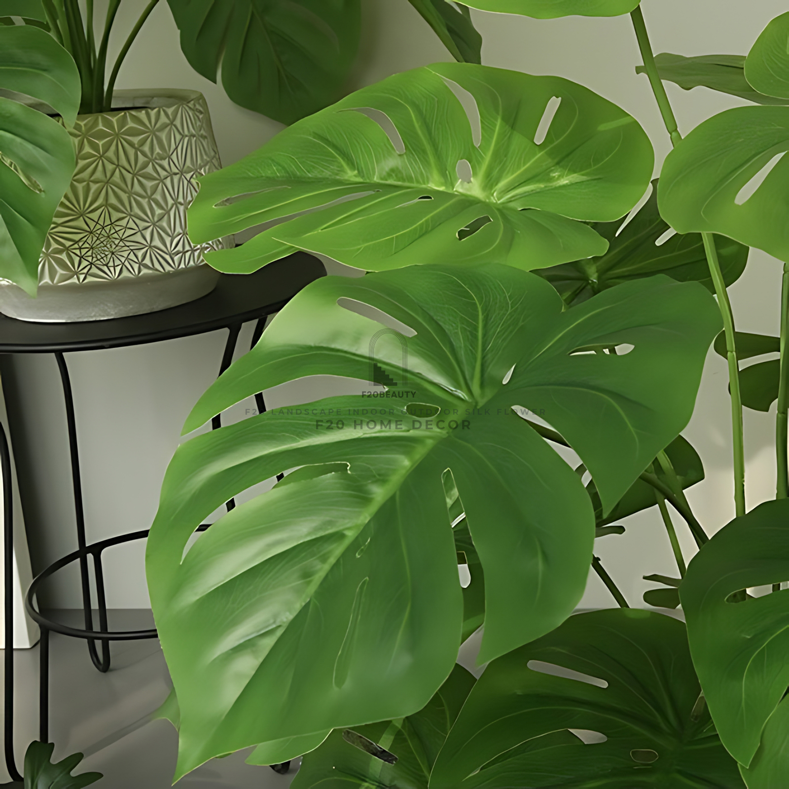 Cận cảnh chi tiết lá cành cây Monstera 18 lá giả