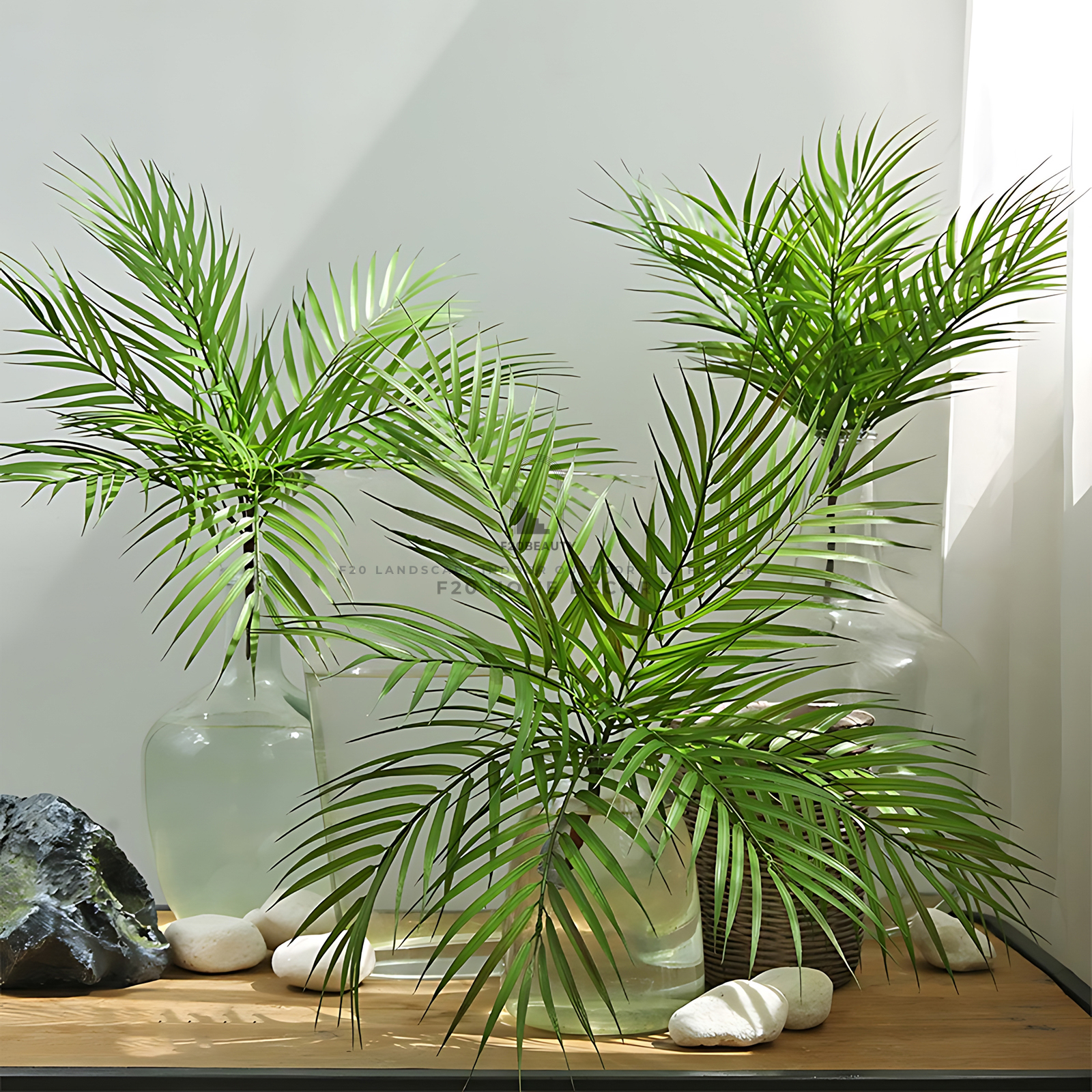 Cành cây dừa cảnh trang trí lọ thủy tinh