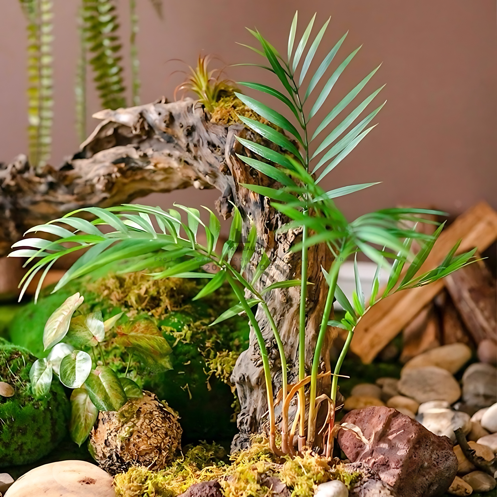 Cận cảnh sản phẩm Cây Cau Tiểu Trâm giả