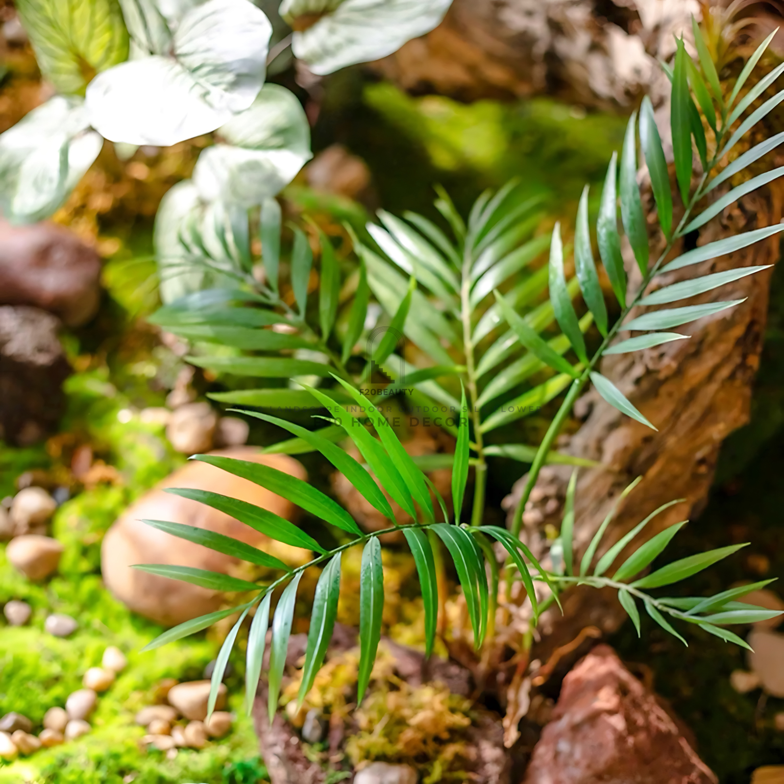 Cây cau tiểu trâm giả trang trí tiểu cảnh phong cách Tropical