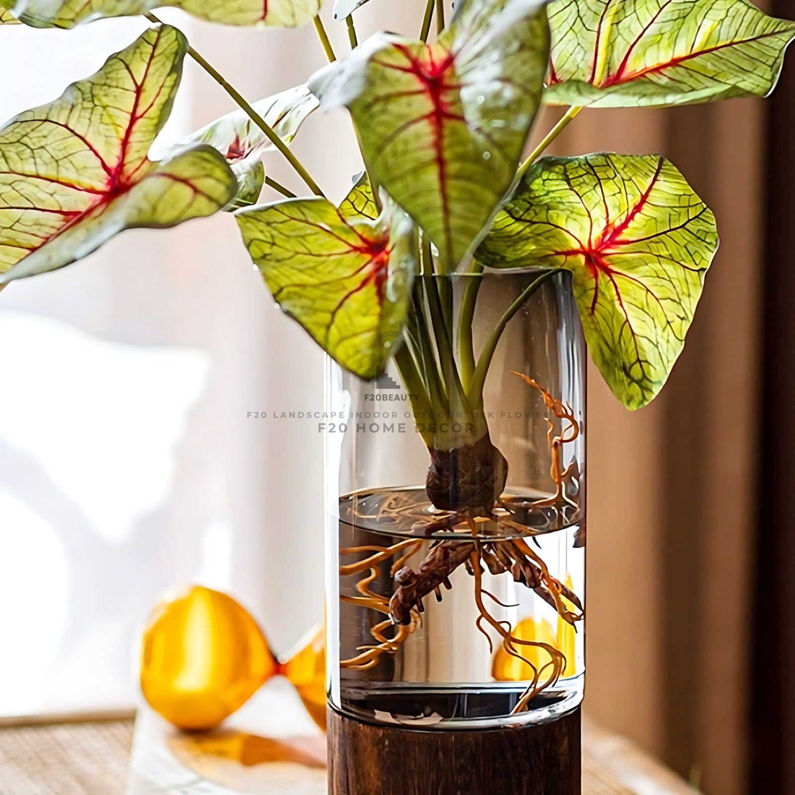 Nổi bật với những chiếc lá to bản, hình trái tim độc đáo cùng đường gân lá tinh tế, Môn Đốm Caladium mang đến vẻ đẹp sang trọng, hiện đại và không kém phần gần gũi với thiên nhiên.