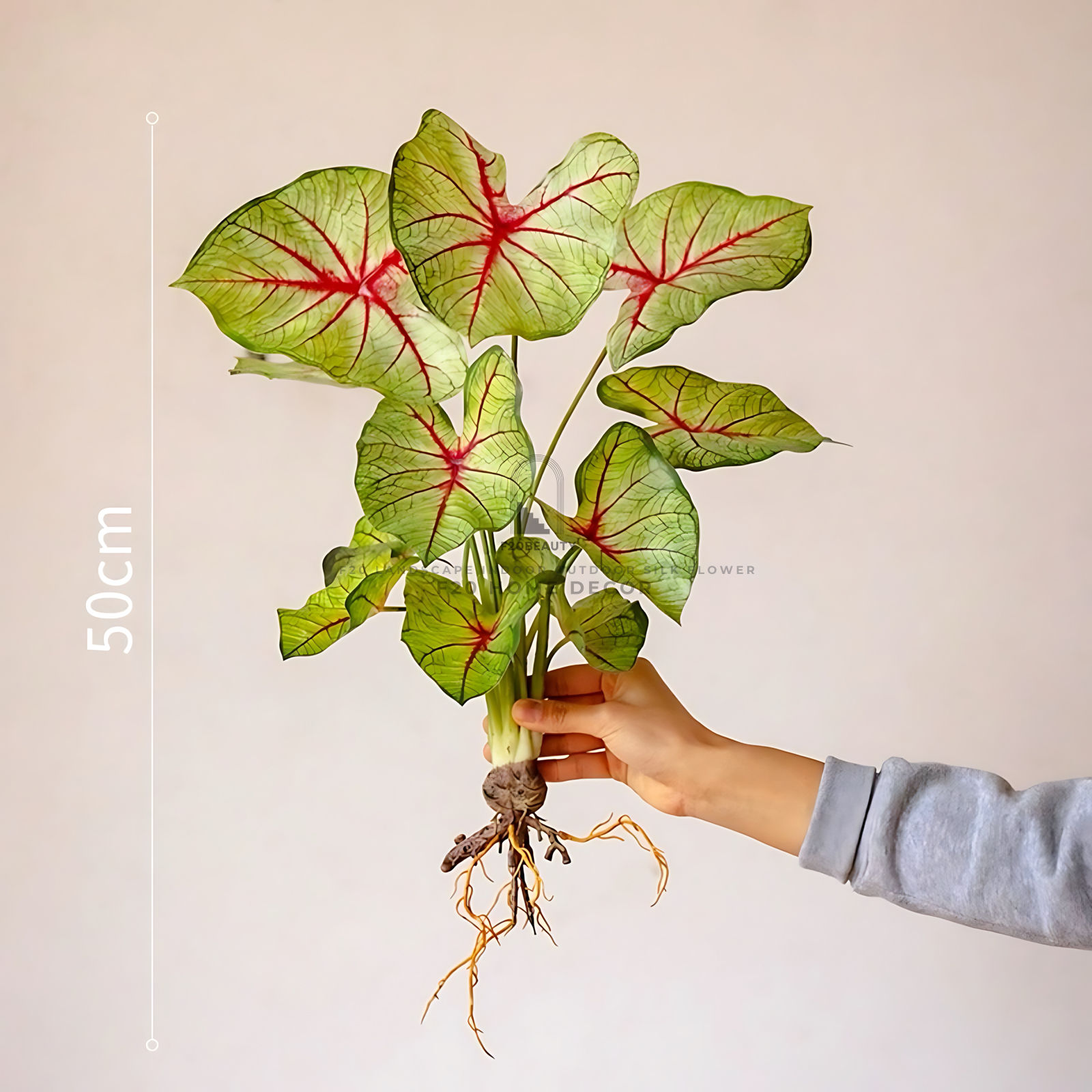 Cành cây Môn đốm Caladium giả với kích thước 50cm