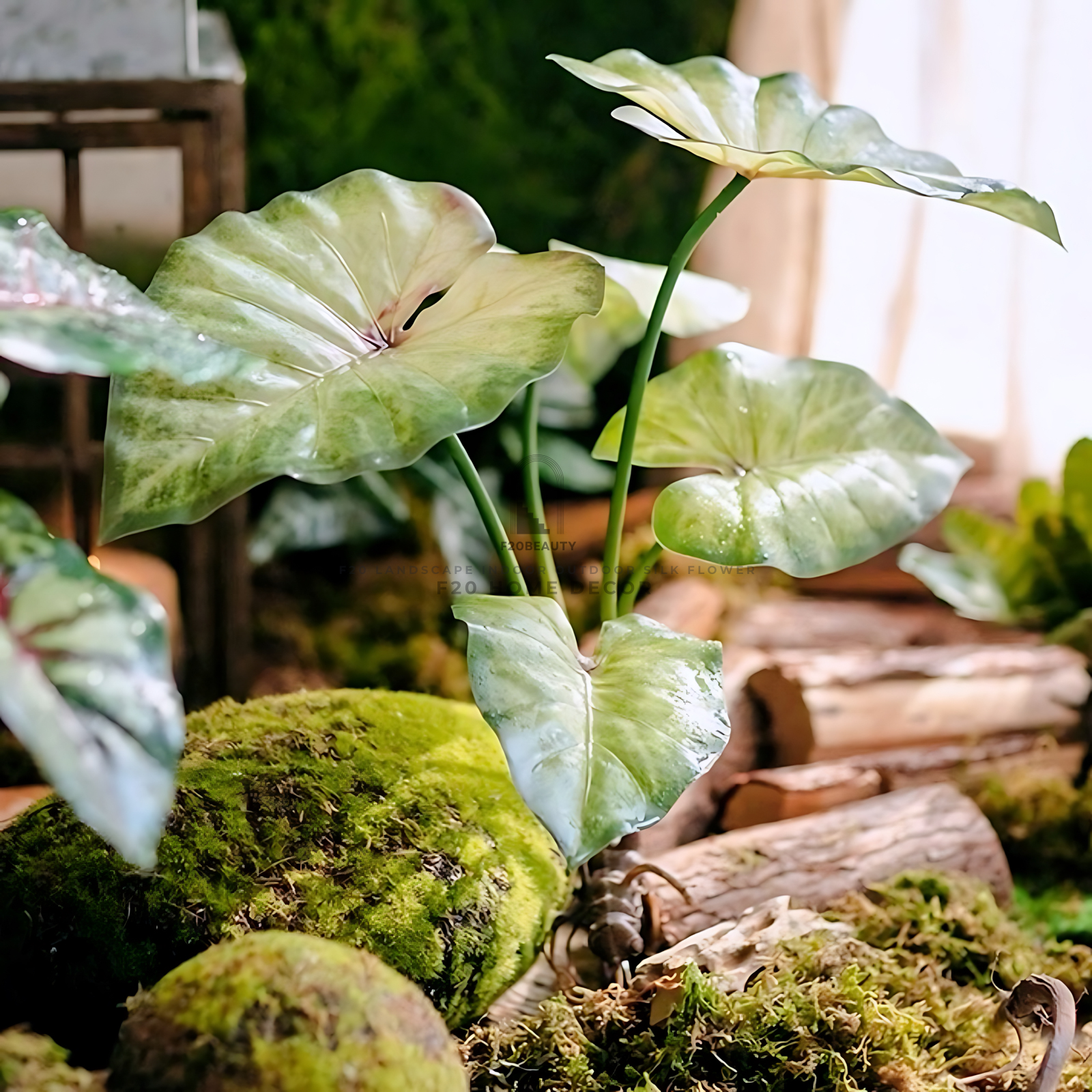 Cận cảnh cành cây Trầu Bà Khía giả với đường gân lá rõ nét, màu sắc tươi tắn