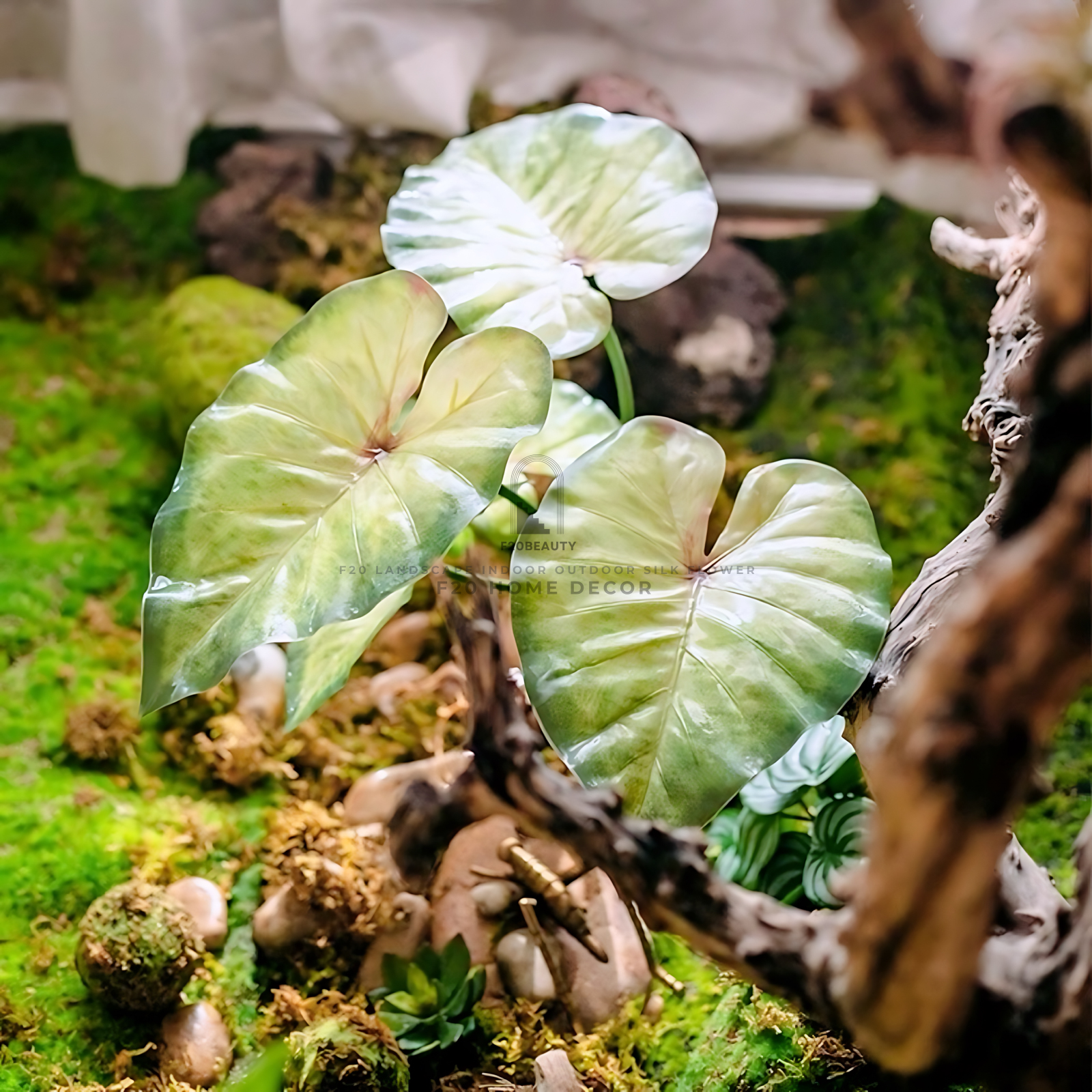 Cành cây trầu bà khía giả