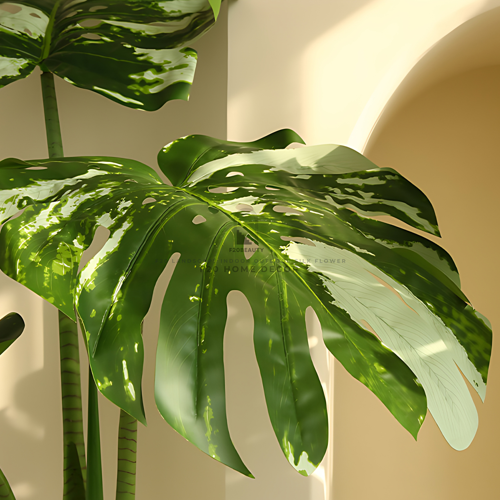 Chi tiết lá cây trầu bà đột biến giả