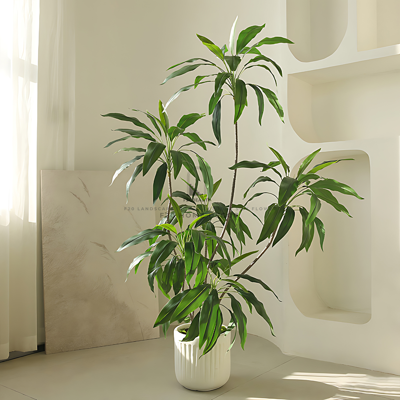 Cây thiết mộc lan giả thu hút tài lộc may mắn - Đem lại thịnh vượng, phong thủy tốt đẹp cho gia chủ sở hữu