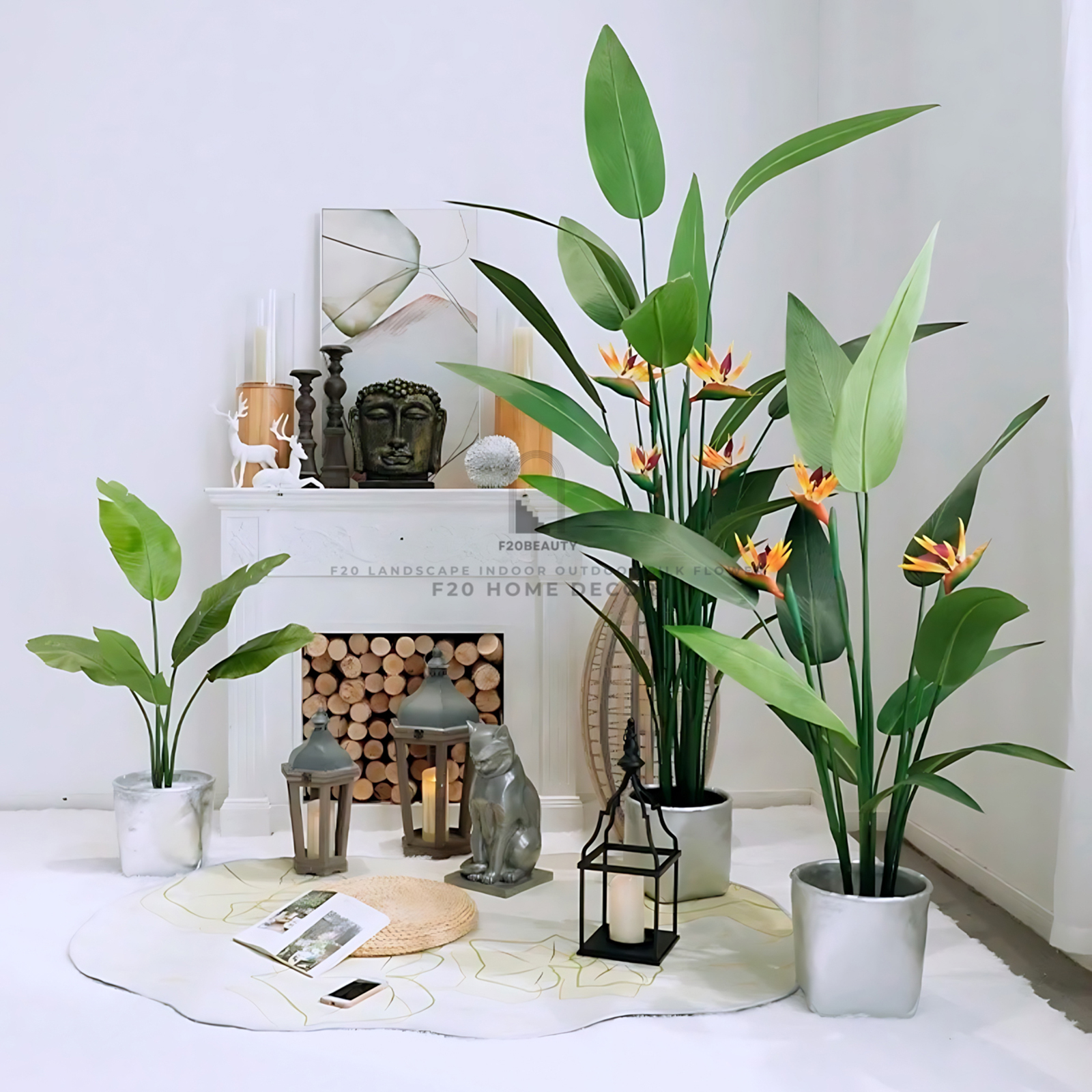 Cây hoa thiên điểu giả