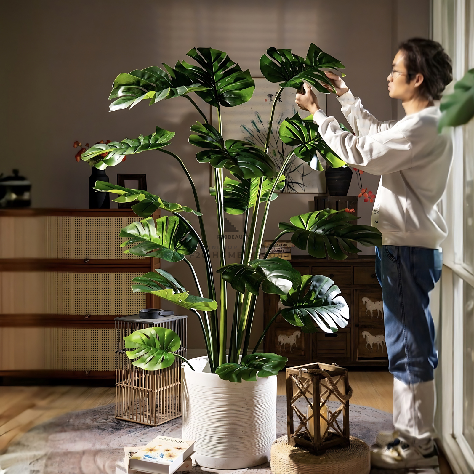 Cây trầu bà lá xẻ giả phong cách Tropical đang được chỉnh dáng tạo kiểu